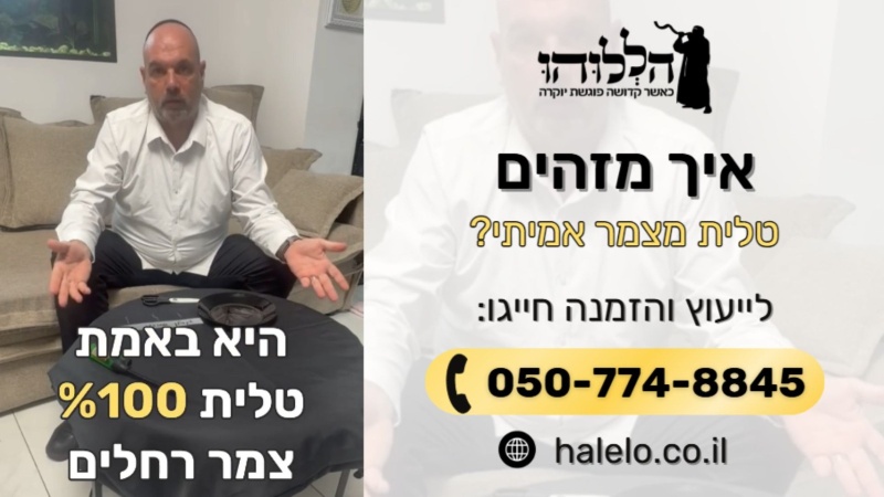 איך מזהים טלית צמר רחלים